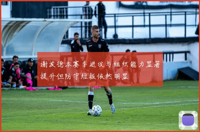 谢泼德本赛季进攻与组织能力显著提升但防守短板依然明显